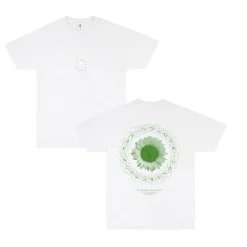 Colour Collective 'Original Wallflower' Tee - White