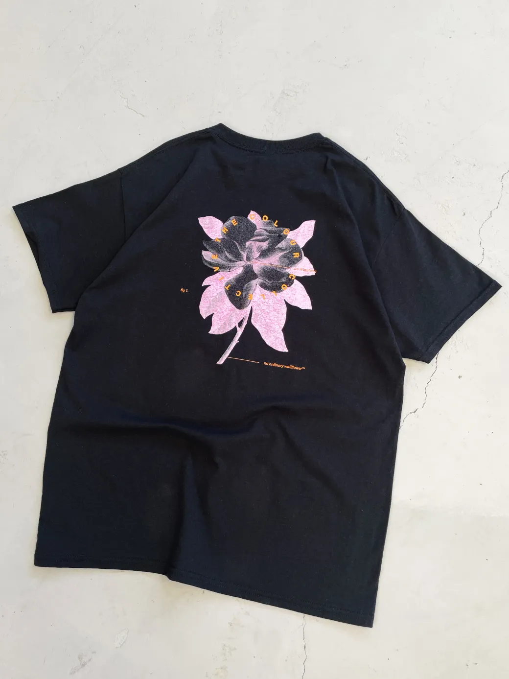 Colour Collective 'Science' Tee - Black