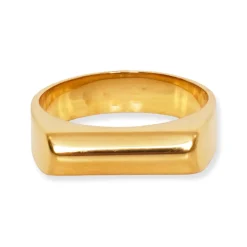 Thian Ring - Gold / Silver