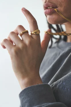 Thian Ring - Gold / Silver