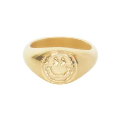 Trippy Signet Ring - Gold