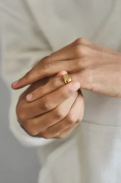 Trippy Signet Ring - Gold
