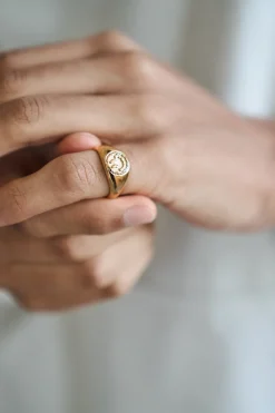 Trippy Signet Ring - Gold