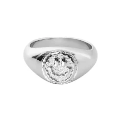Trippy Signet Ring - Silver