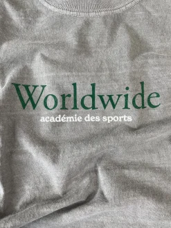 Vice 84 'Worldwide' Vintage Washed Tee - Graphite